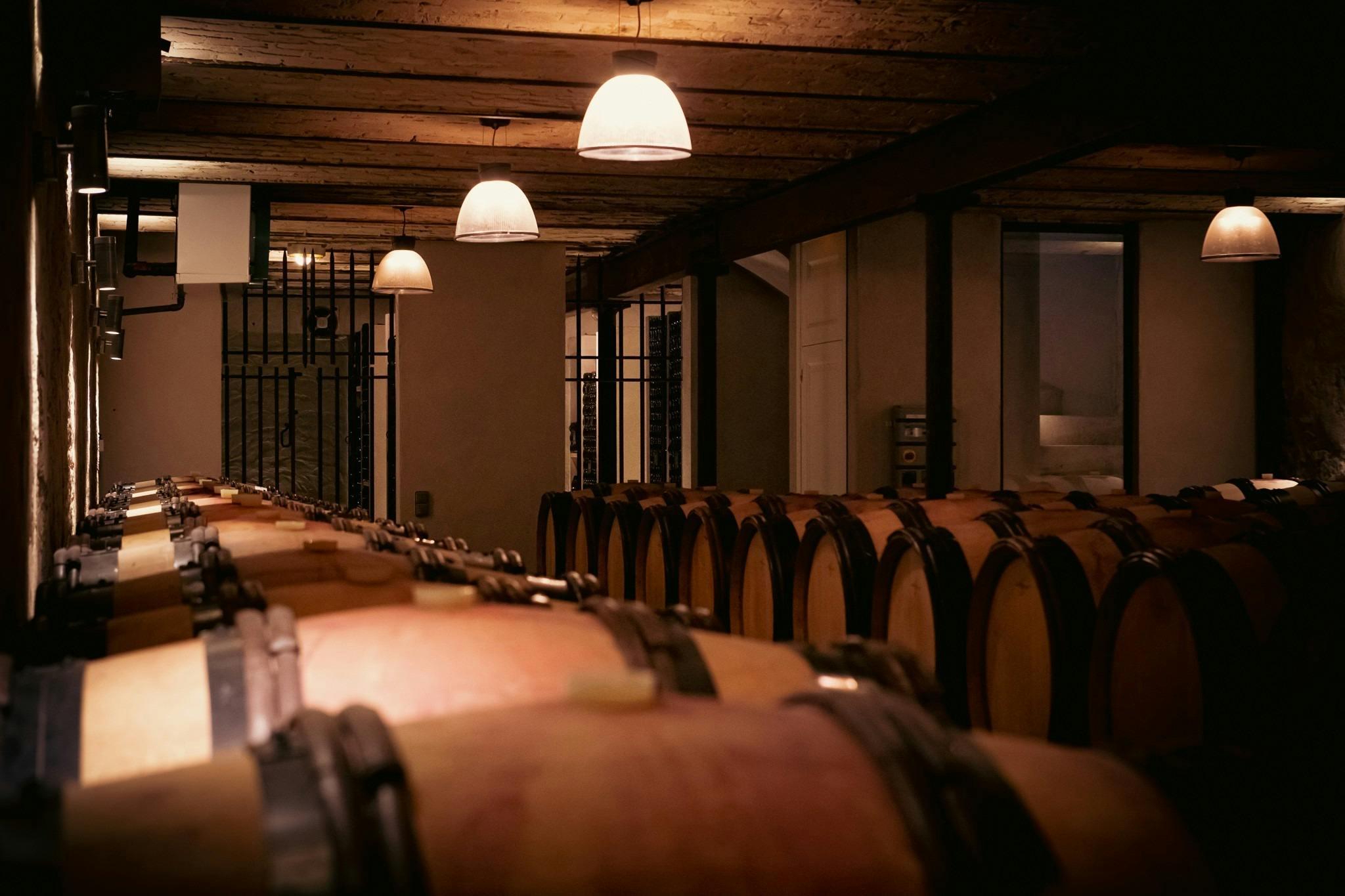 wine