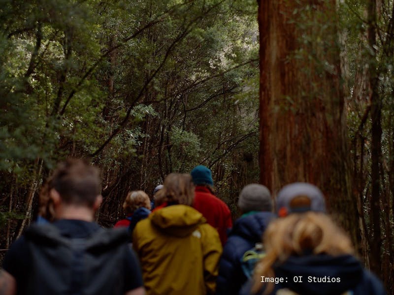 Image for Big Tree Biology@Mt Field