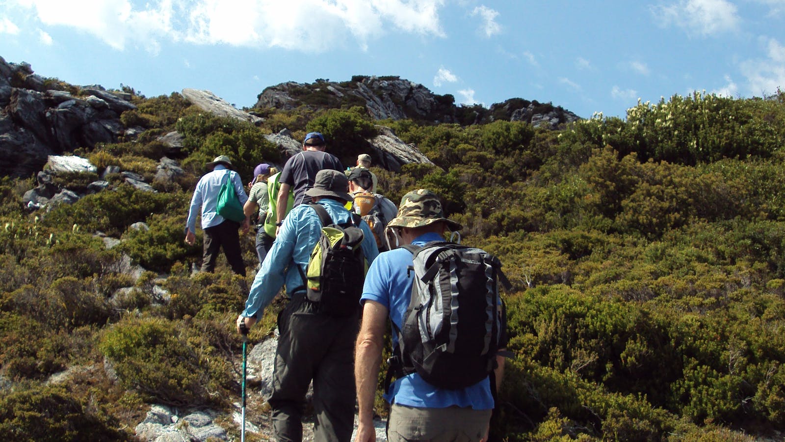 Group of trekkers