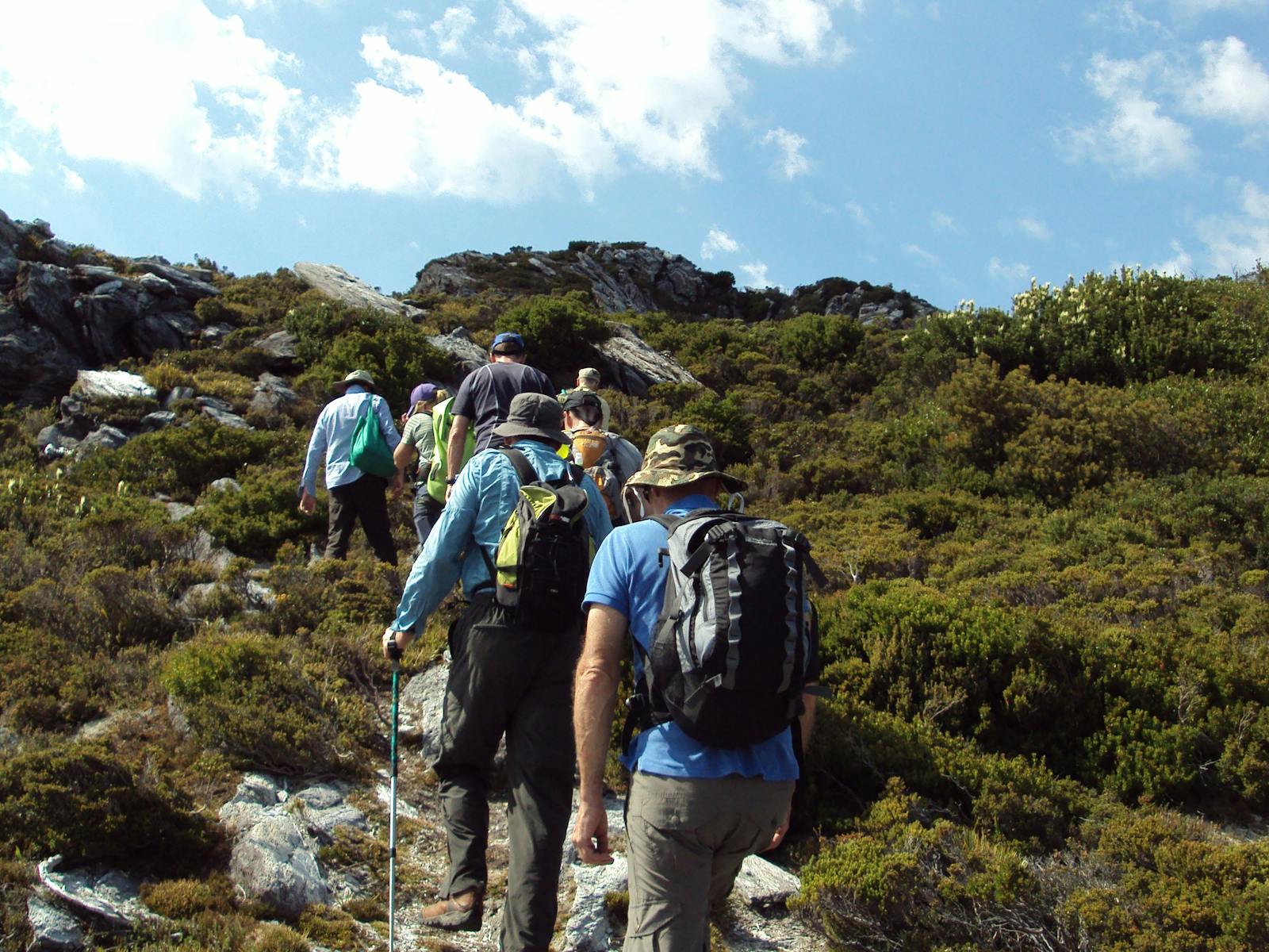 Group of trekkers