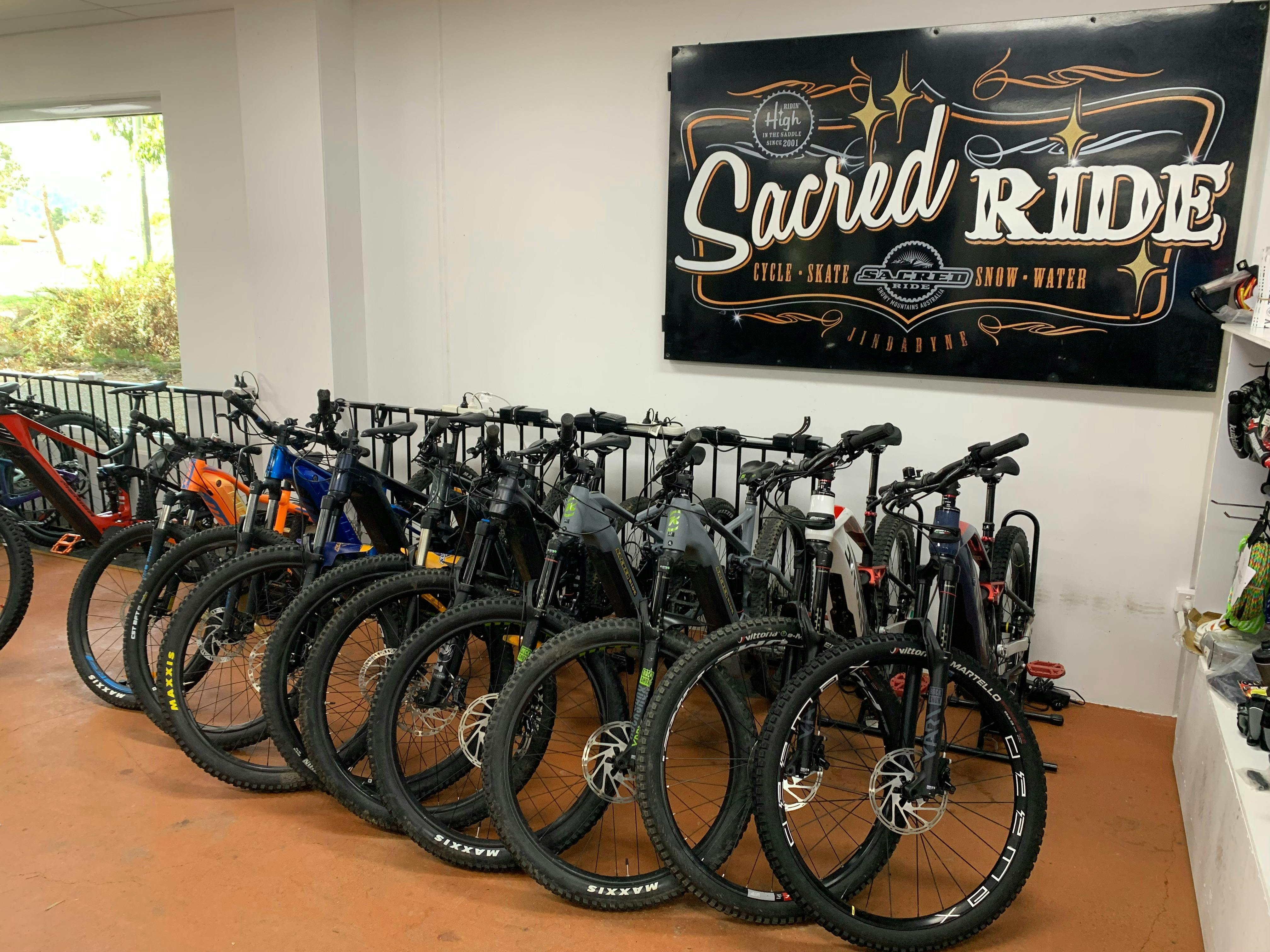 Ebike fleet