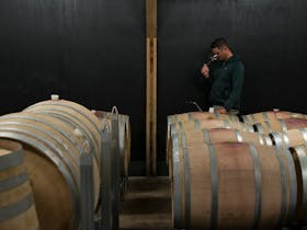 Tamar Valley Wine at Sinapius Vineyard