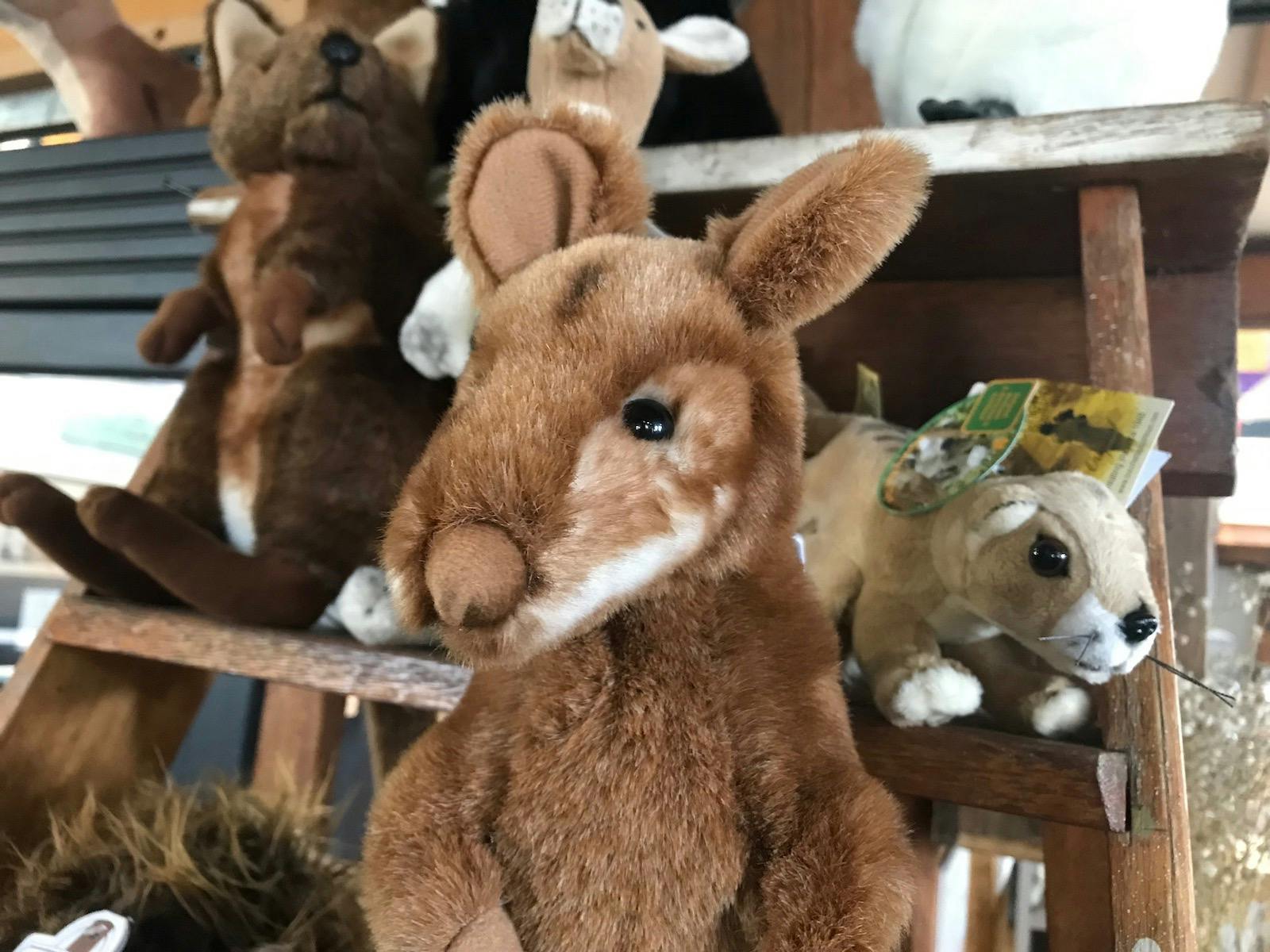 Fluffy toys for the kids.