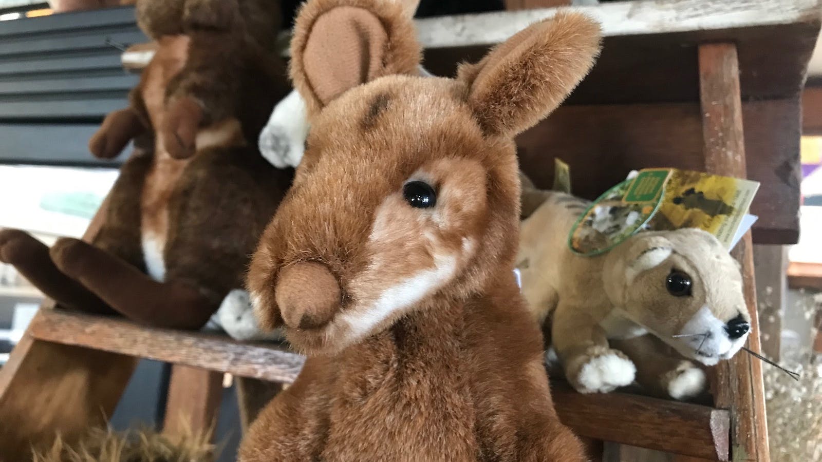 Fluffy toys for the kids.