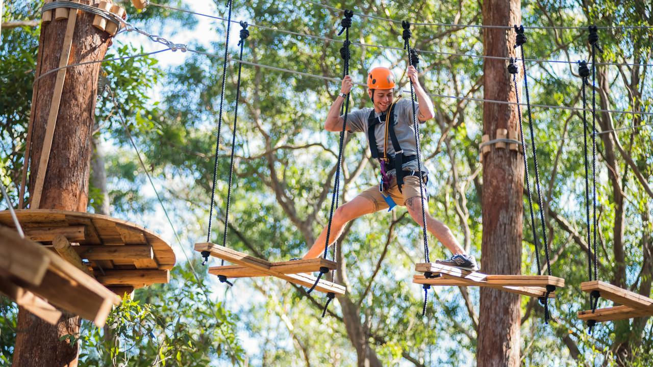 Soar up to 20m above the ground