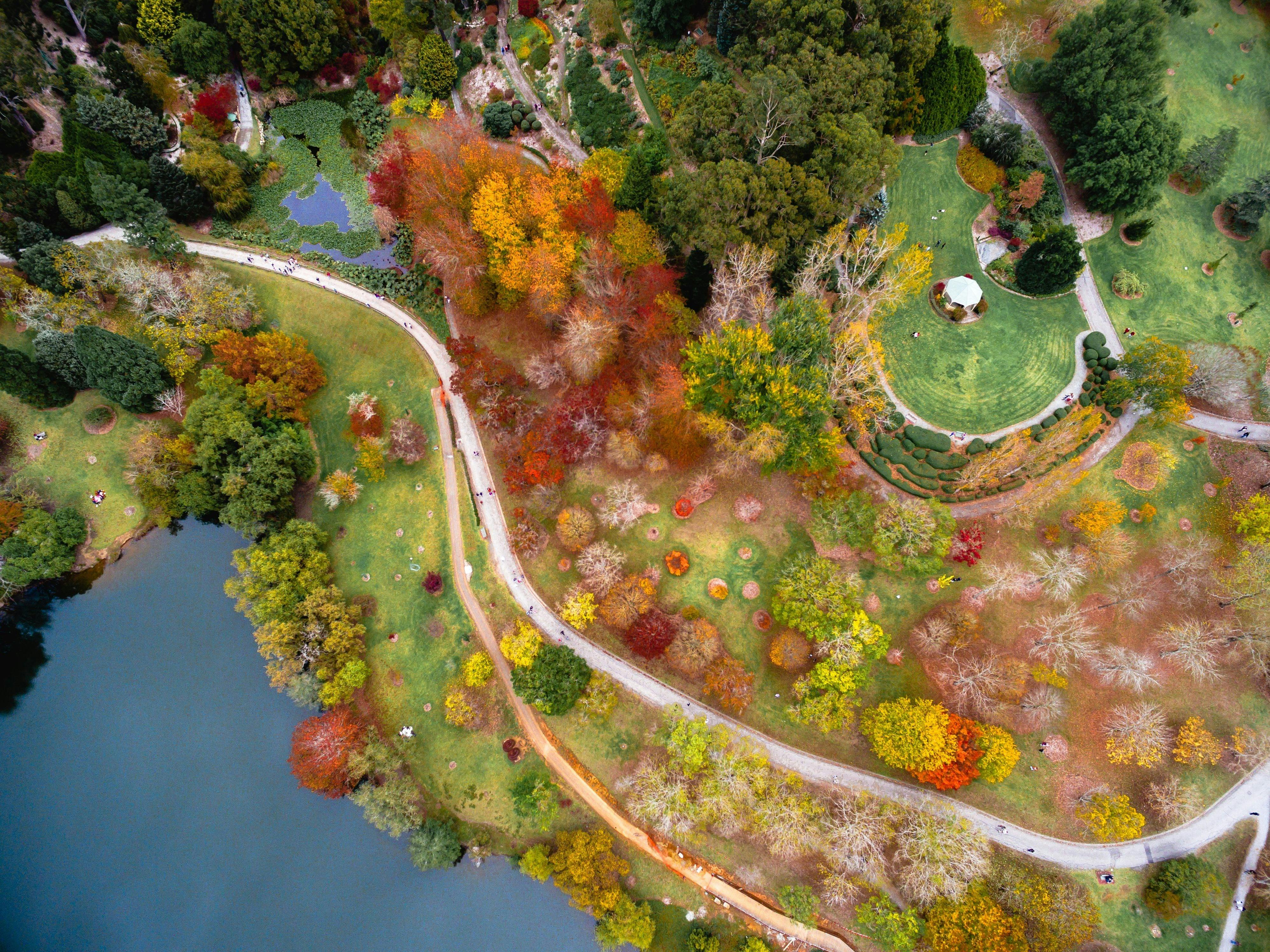 Autumn colours
