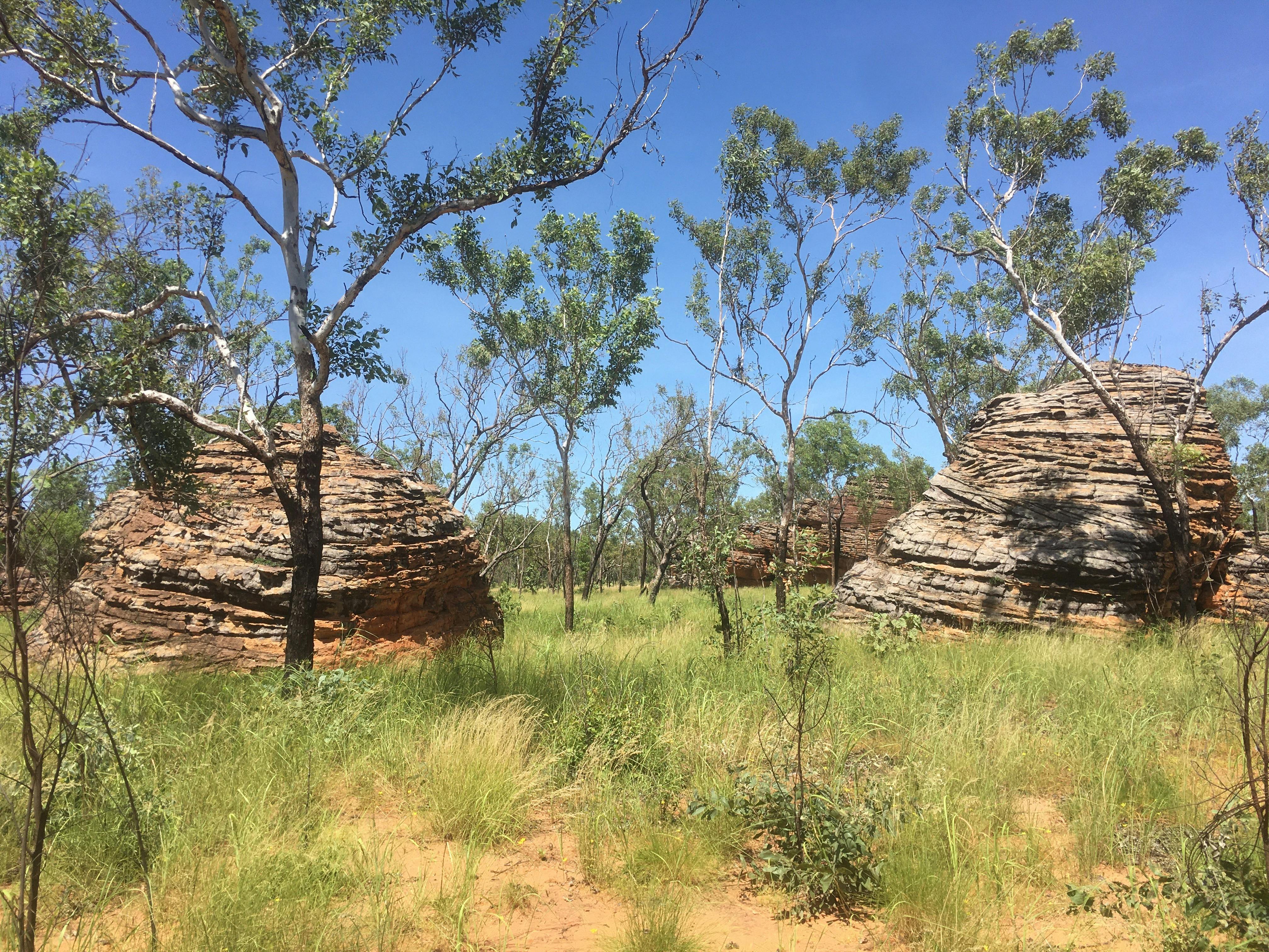 Dam to Dam 4WD Cruise Combo, Kununurra, Western Australia