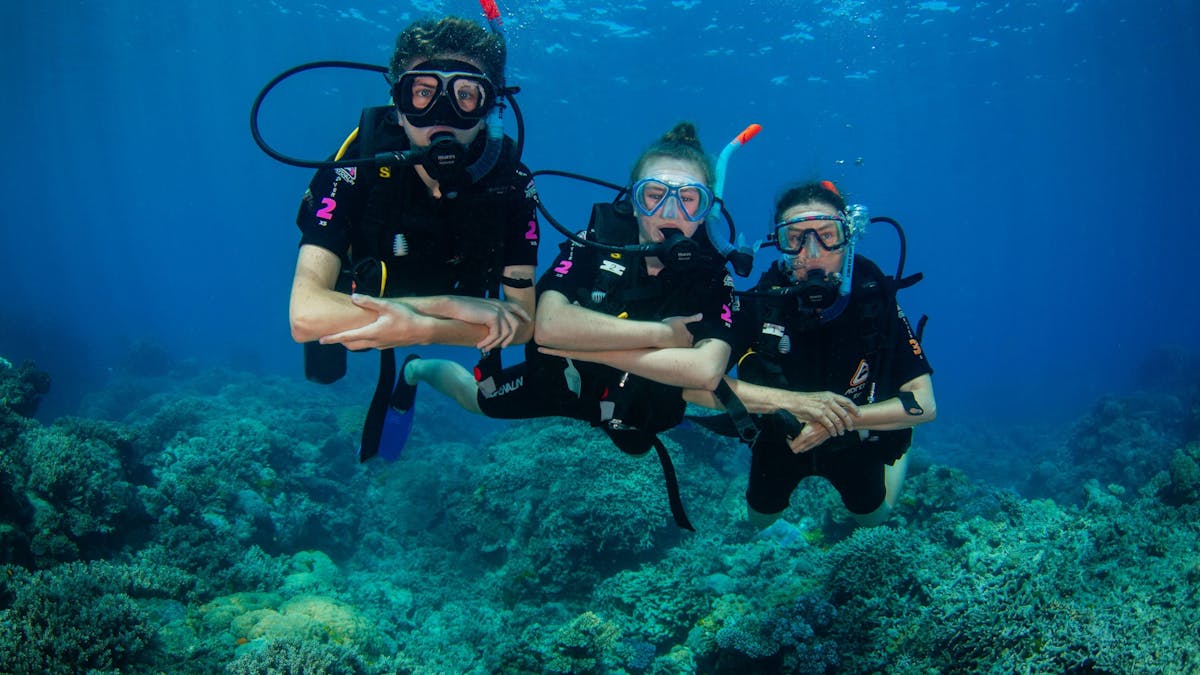 Scuba divers exploring the Great Barrier Reef with Reef Experience