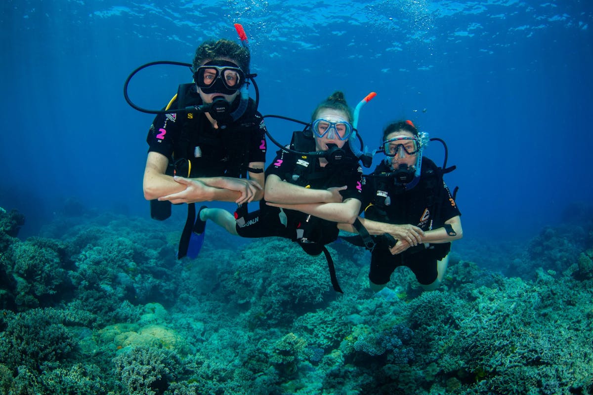 Scuba divers exploring the Great Barrier Reef with Reef Experience