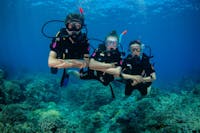 Scuba divers exploring the Great Barrier Reef with Reef Experience