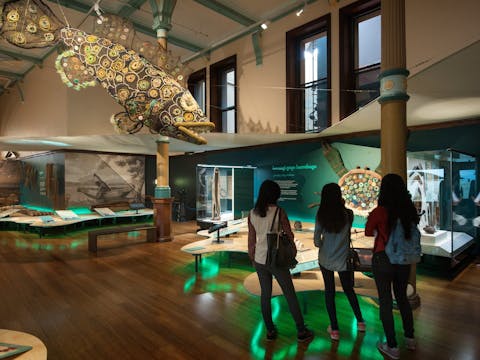 First Nations Gallery Tours at the Australian Museum (Waranara)
