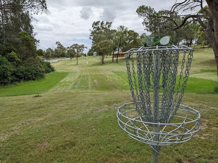 Disc Golf | NSW Holidays & Accommodation, Things to Do, Attractions and ...