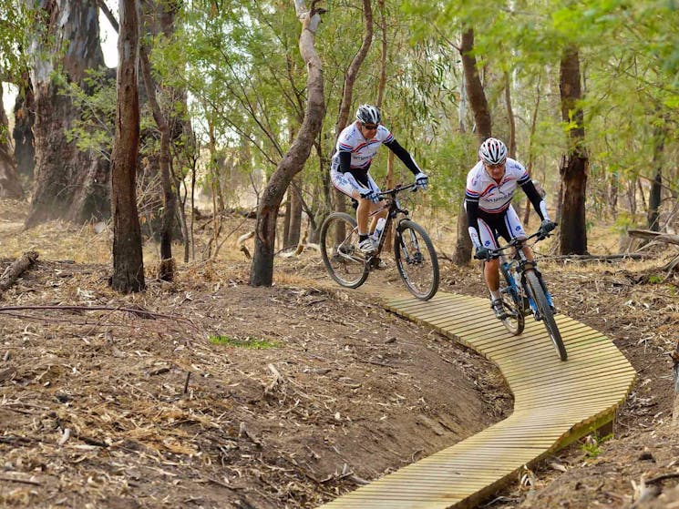 Five Mile mountain bike trail, Murray Valley National Park. Photo: Gavin Hansford