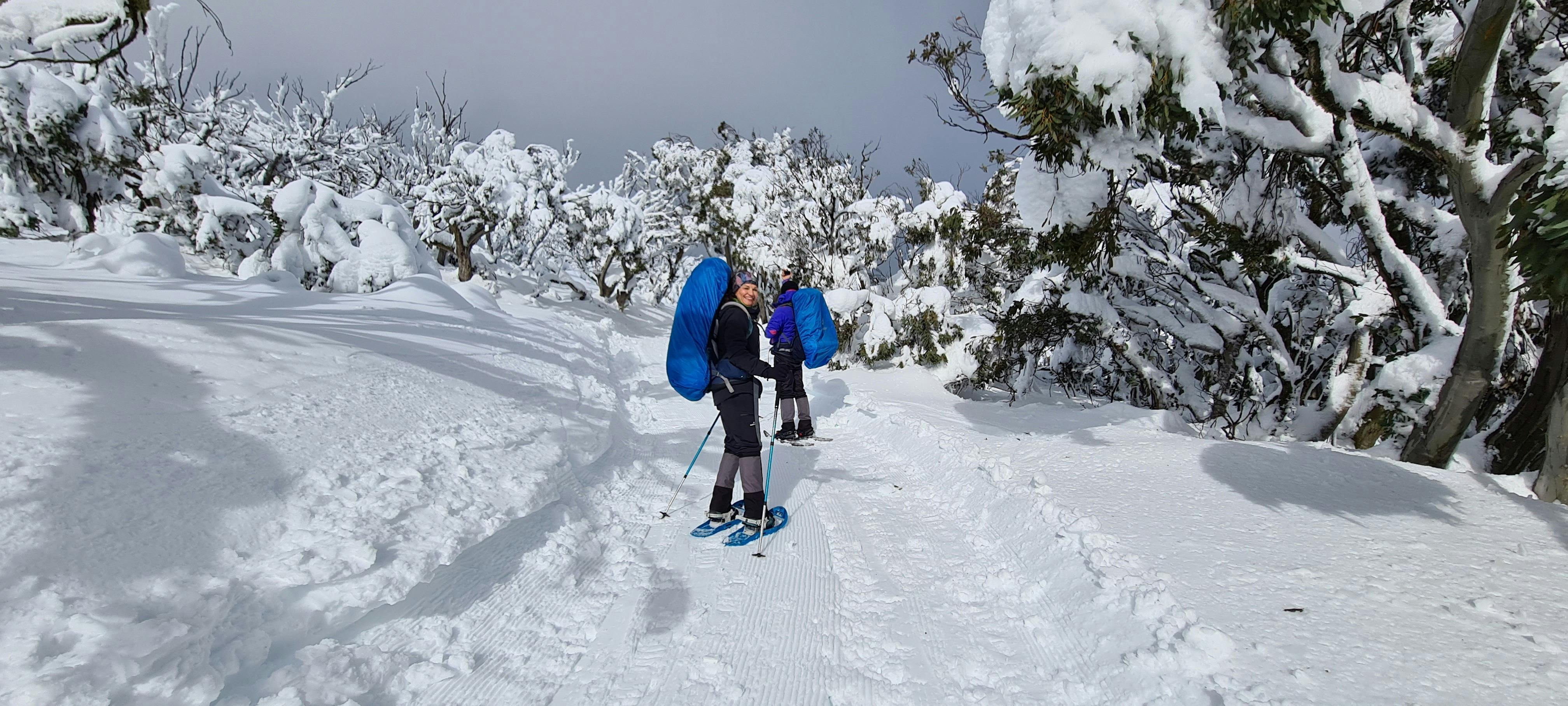 A couple of snowshoeing hikers on the groomed trails of Mt Stirling.