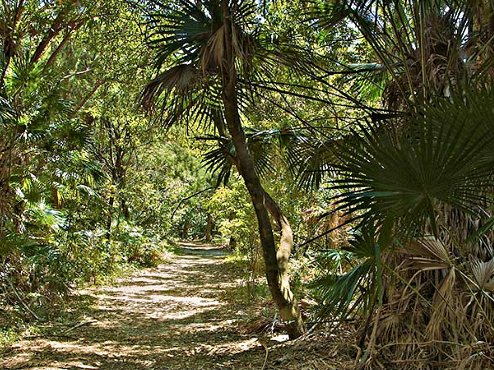 Mungo Walking Track