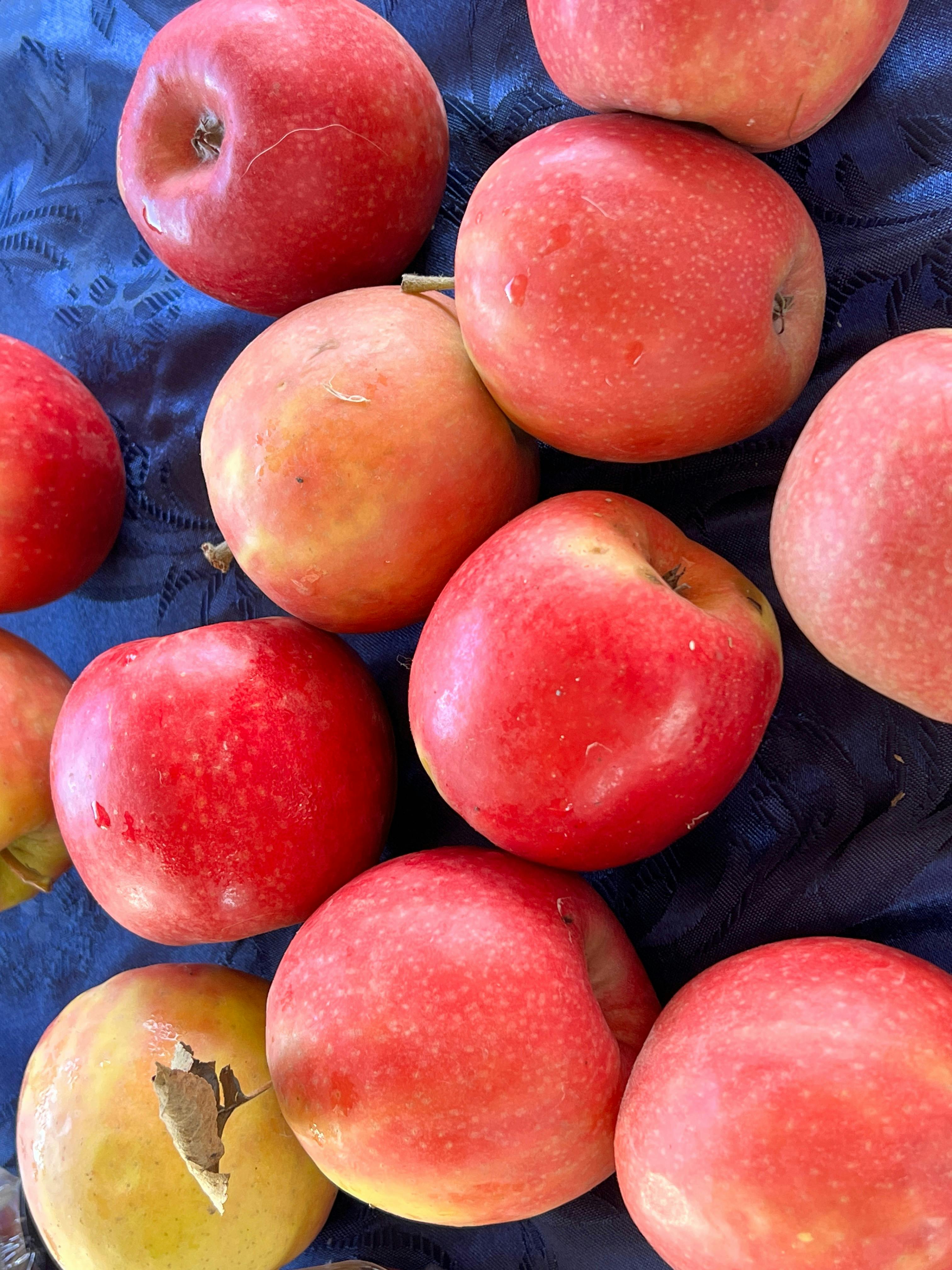 FAB (Farmers at Burrill) Farmers Market