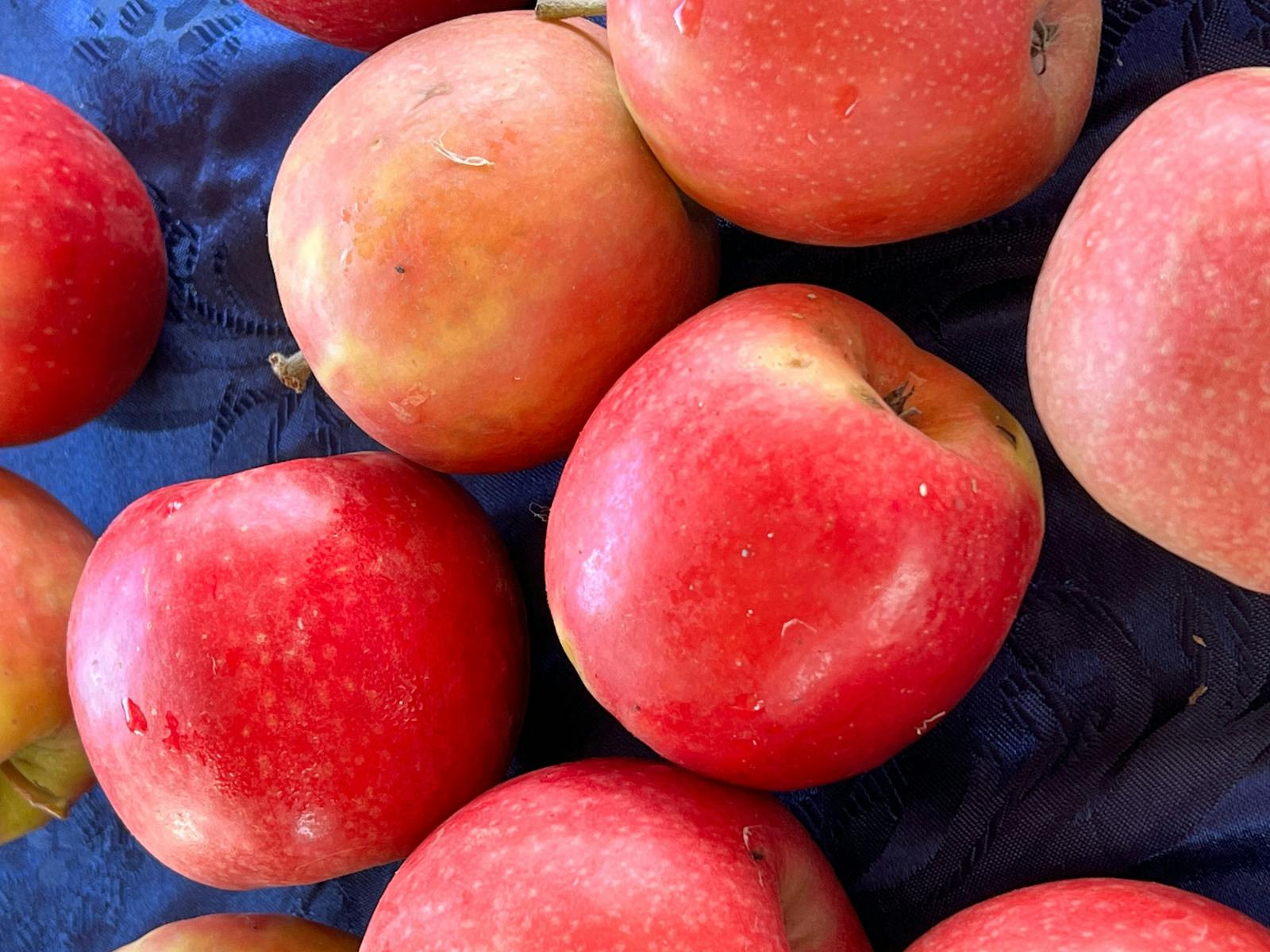 Organic fruit in season