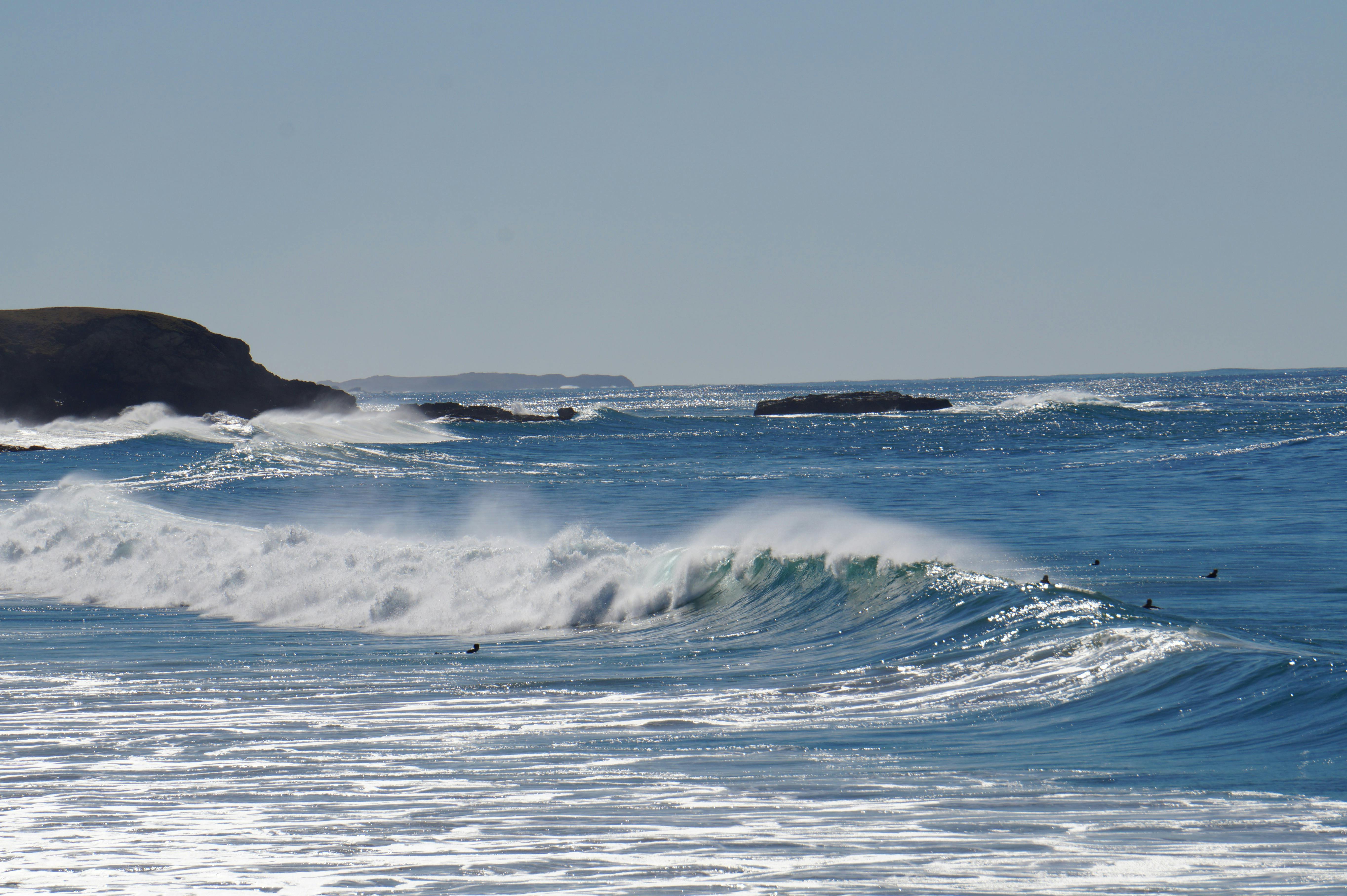 Coffs Harbour Craft Carnival NSW Holidays & Things to