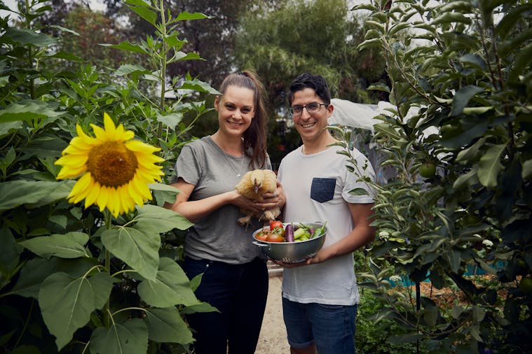 Eco Living for Renters