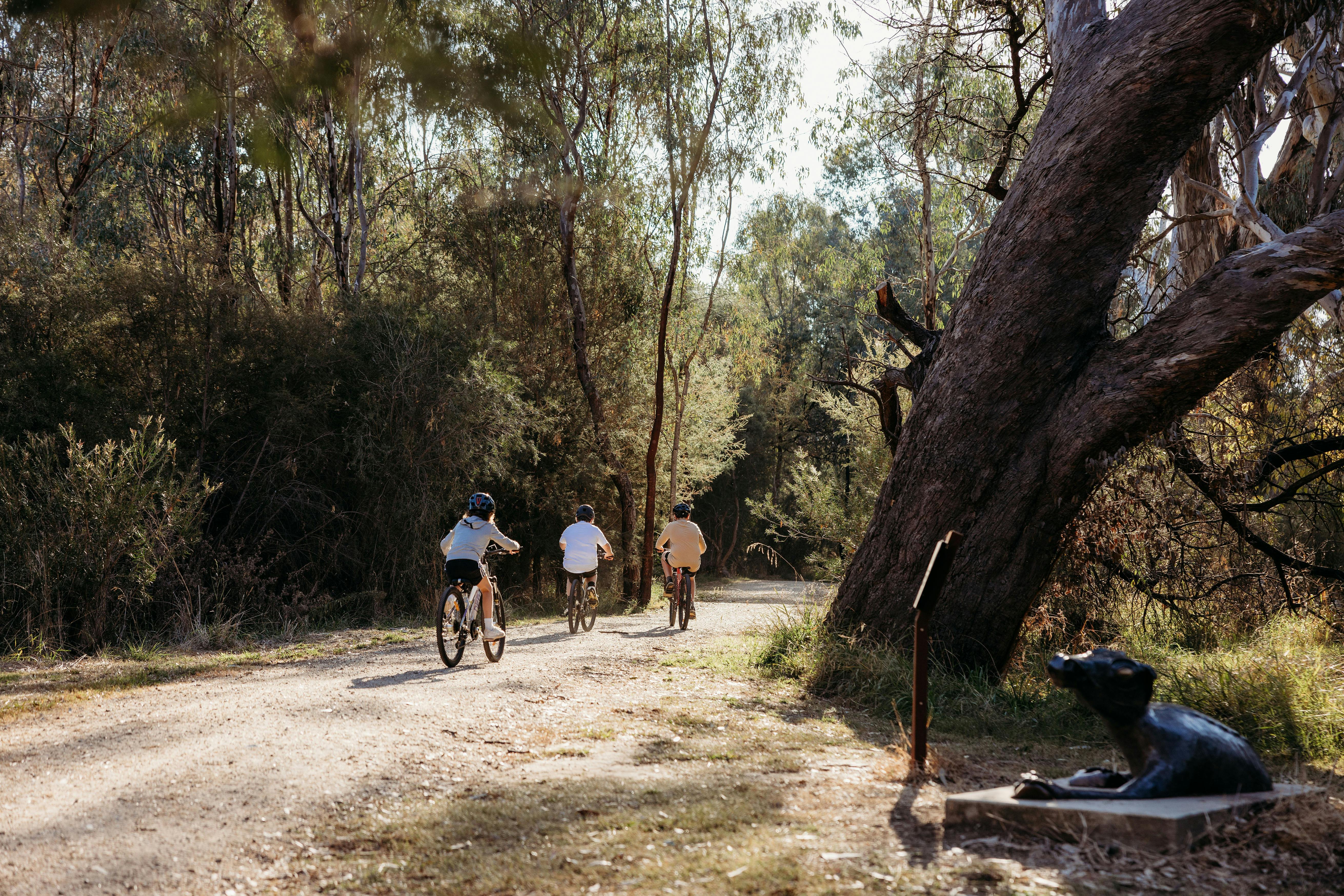 十字路口步道上的騎自行車者