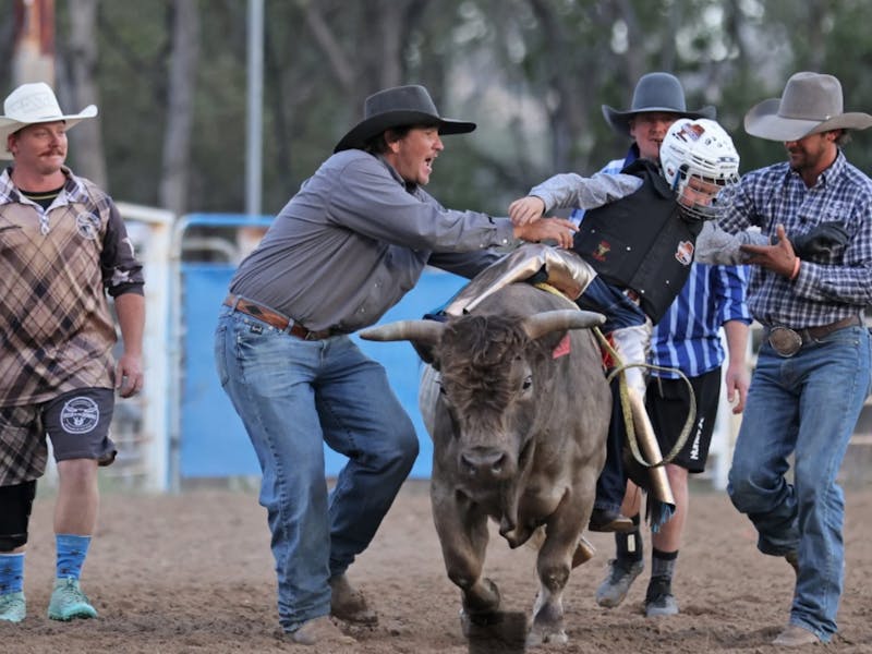 Image for Injune Rodeo