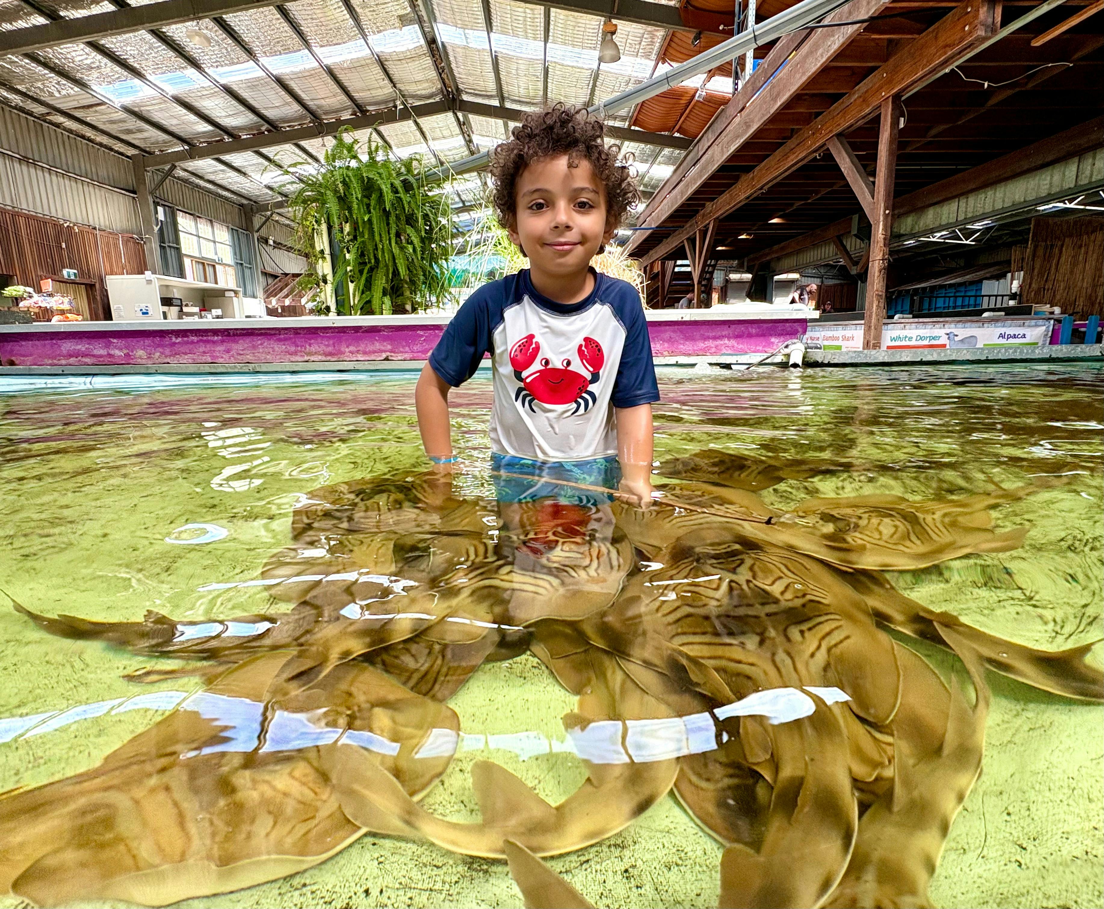 Port Stephens Animal Adventures