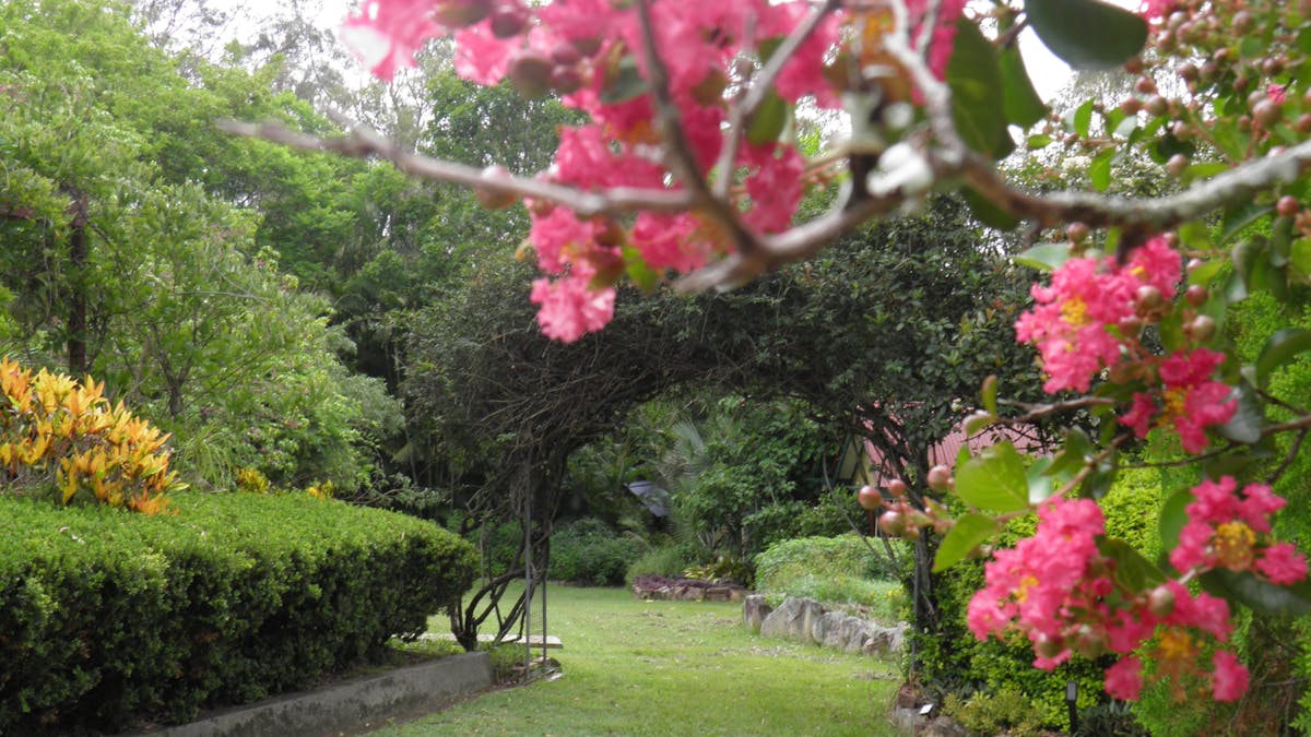 Entry to main lawn