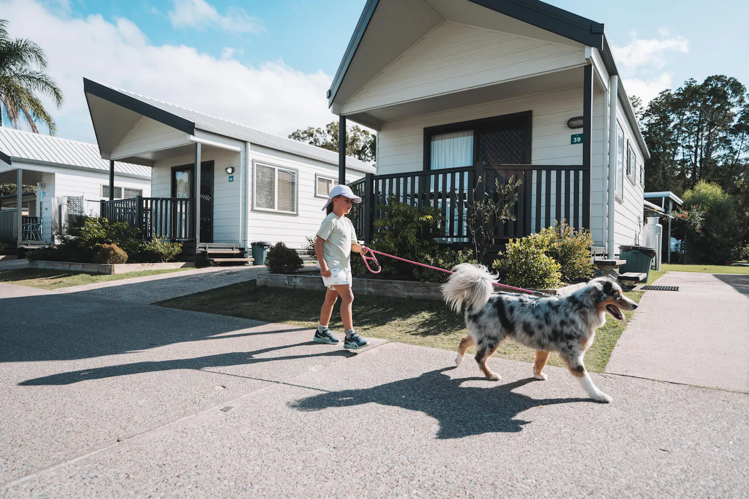 kid walking a dog