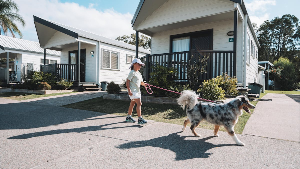 kid walking a dog