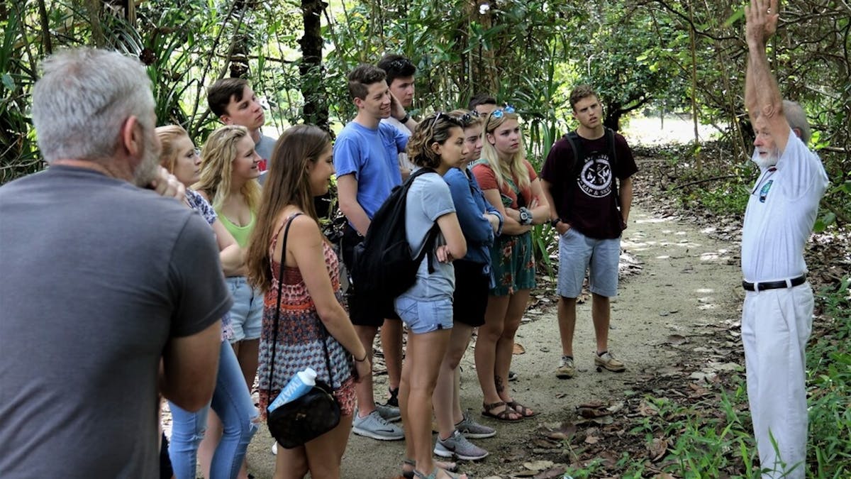 Group of visitors on a guided rainforest walk at C4 Environment Centre in Mission Beach