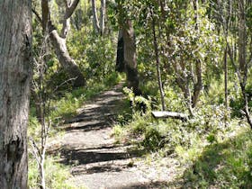 Euglah Rock Walking Track