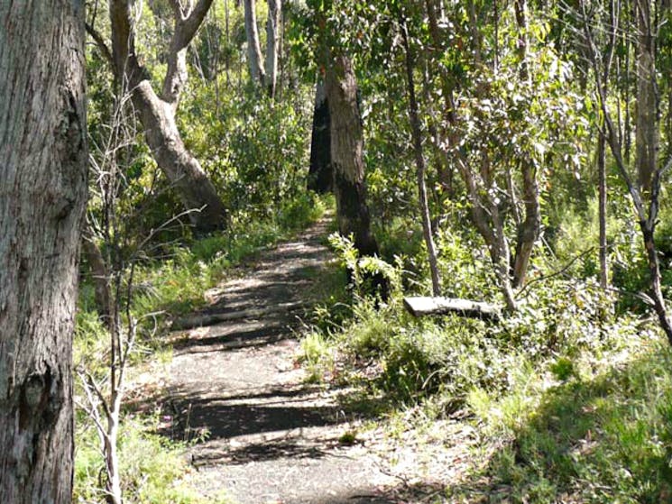 Euglah Rock walking track, Mount Kaputar National Park. Photo: Jessica Stokes