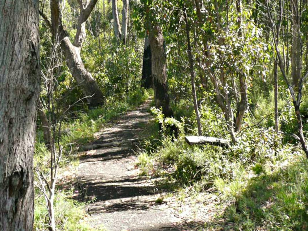 Euglah Rock Walking Track