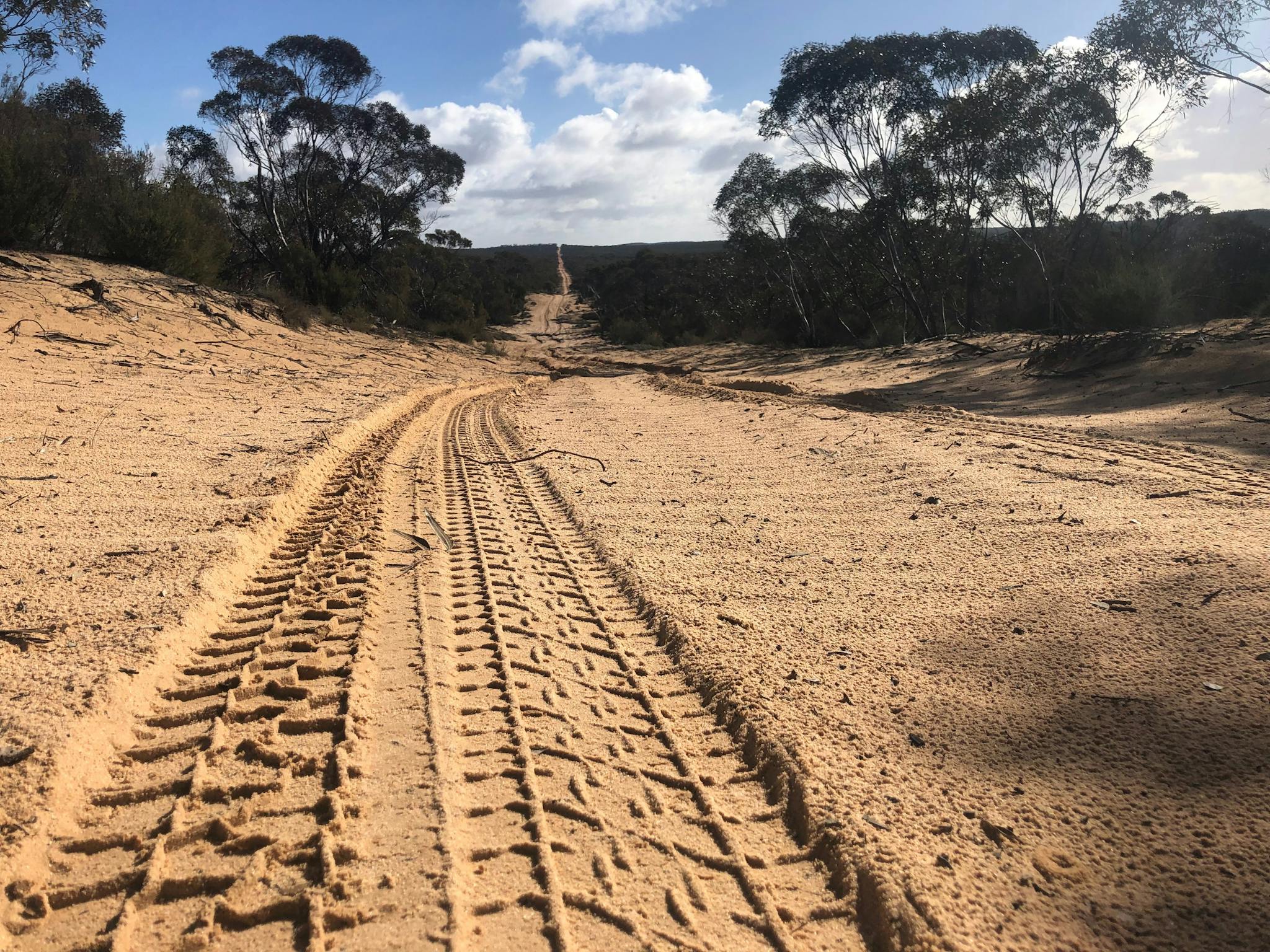 The Vic/Sa border track is known for its famous sandy dunes