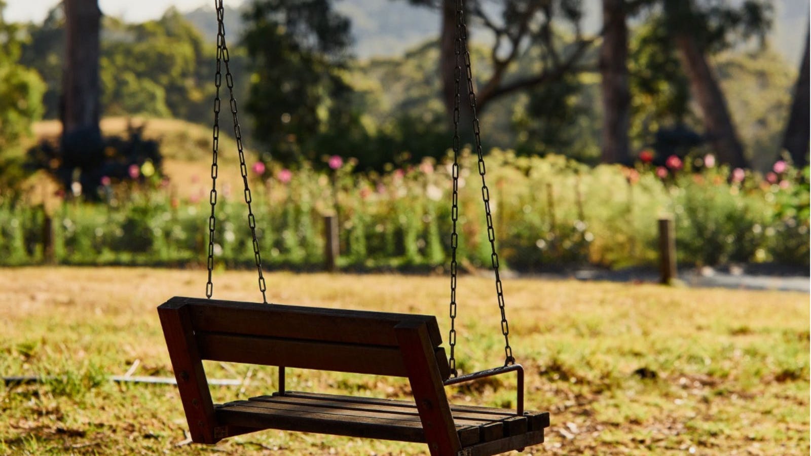 Enjoy the gardens at Earthenry Farm