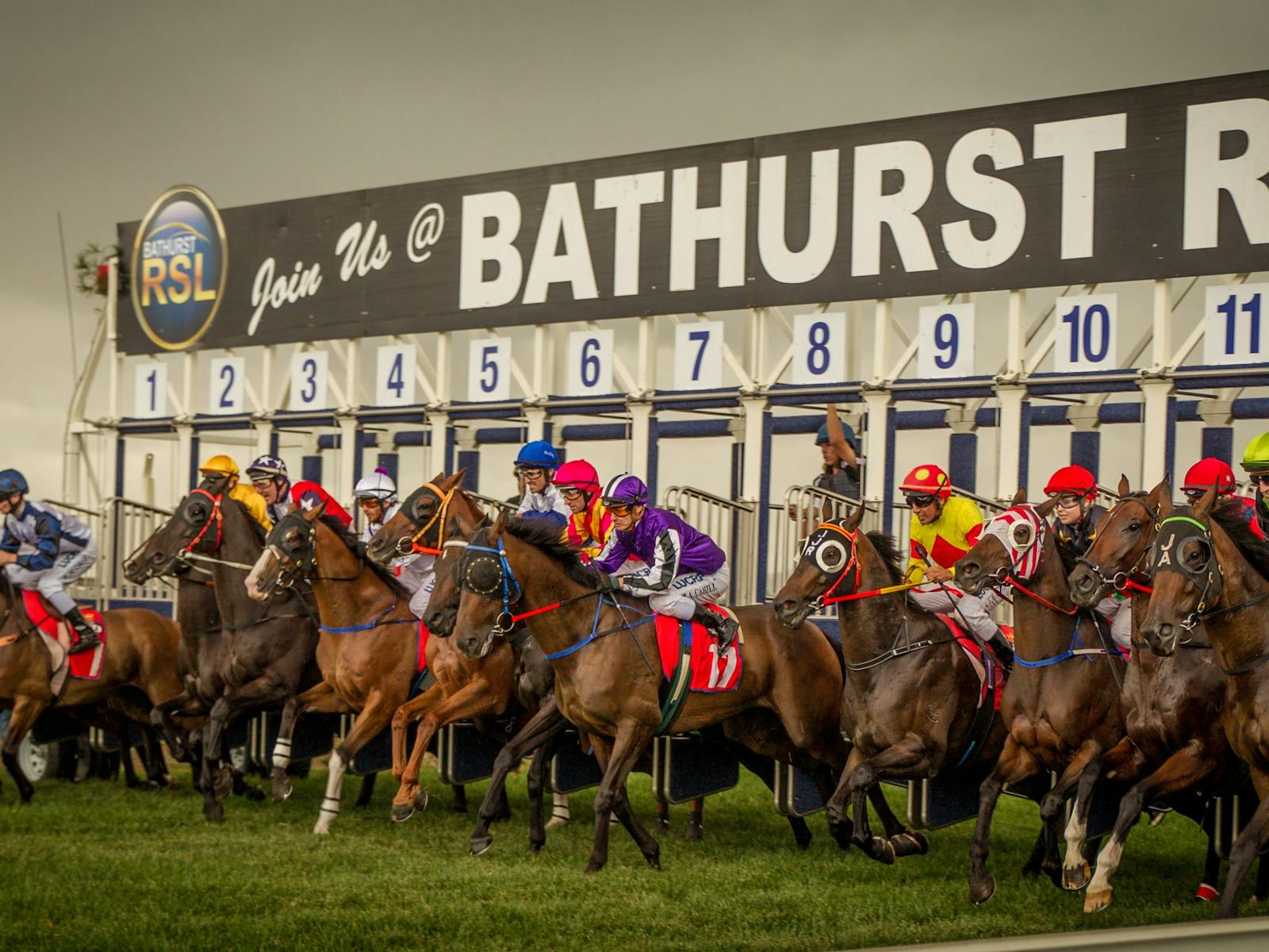 Image for Soldier's Saddle Race Day - ANZAC Day Races