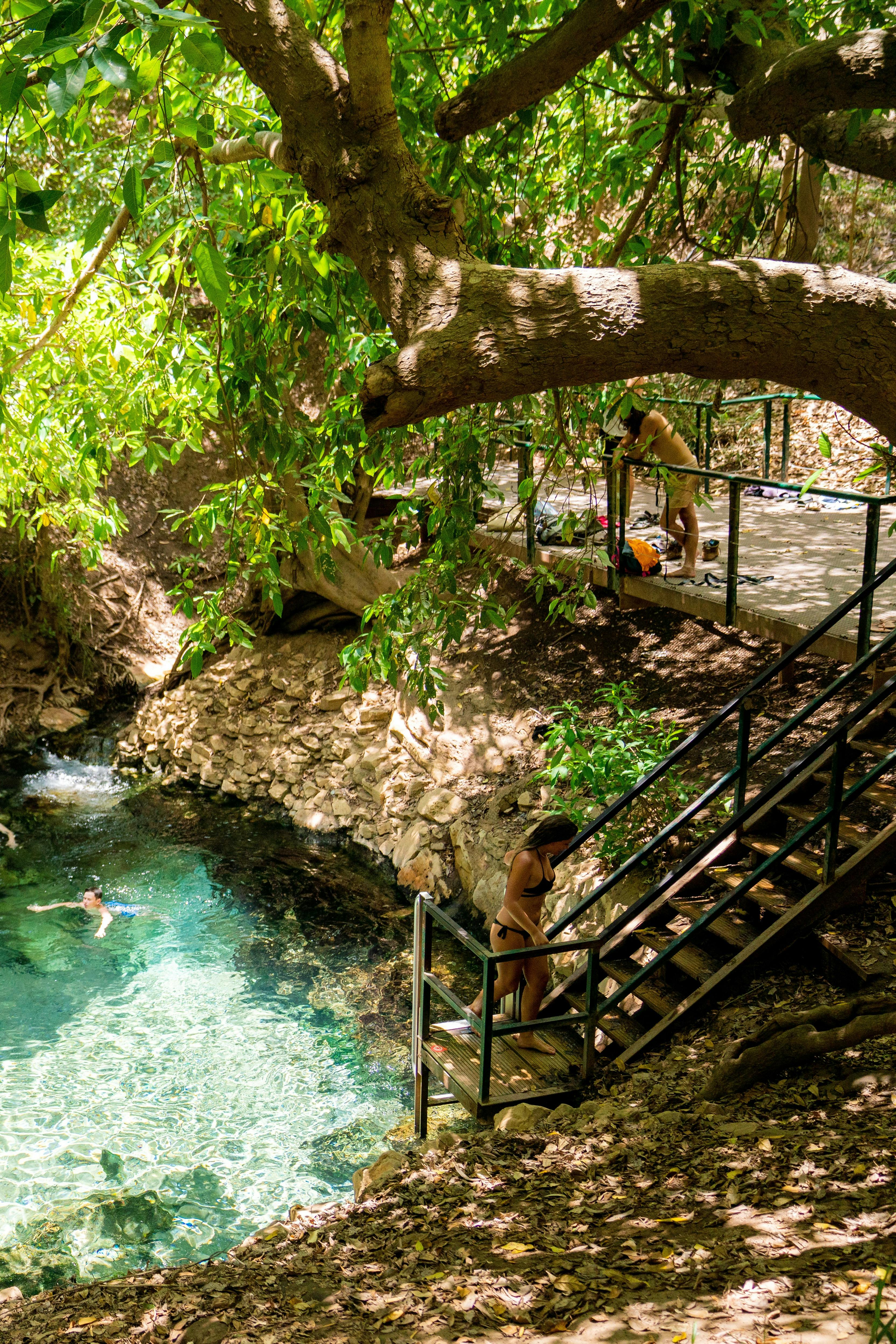 Katherine Hot Springs with Sacred Owl Tours