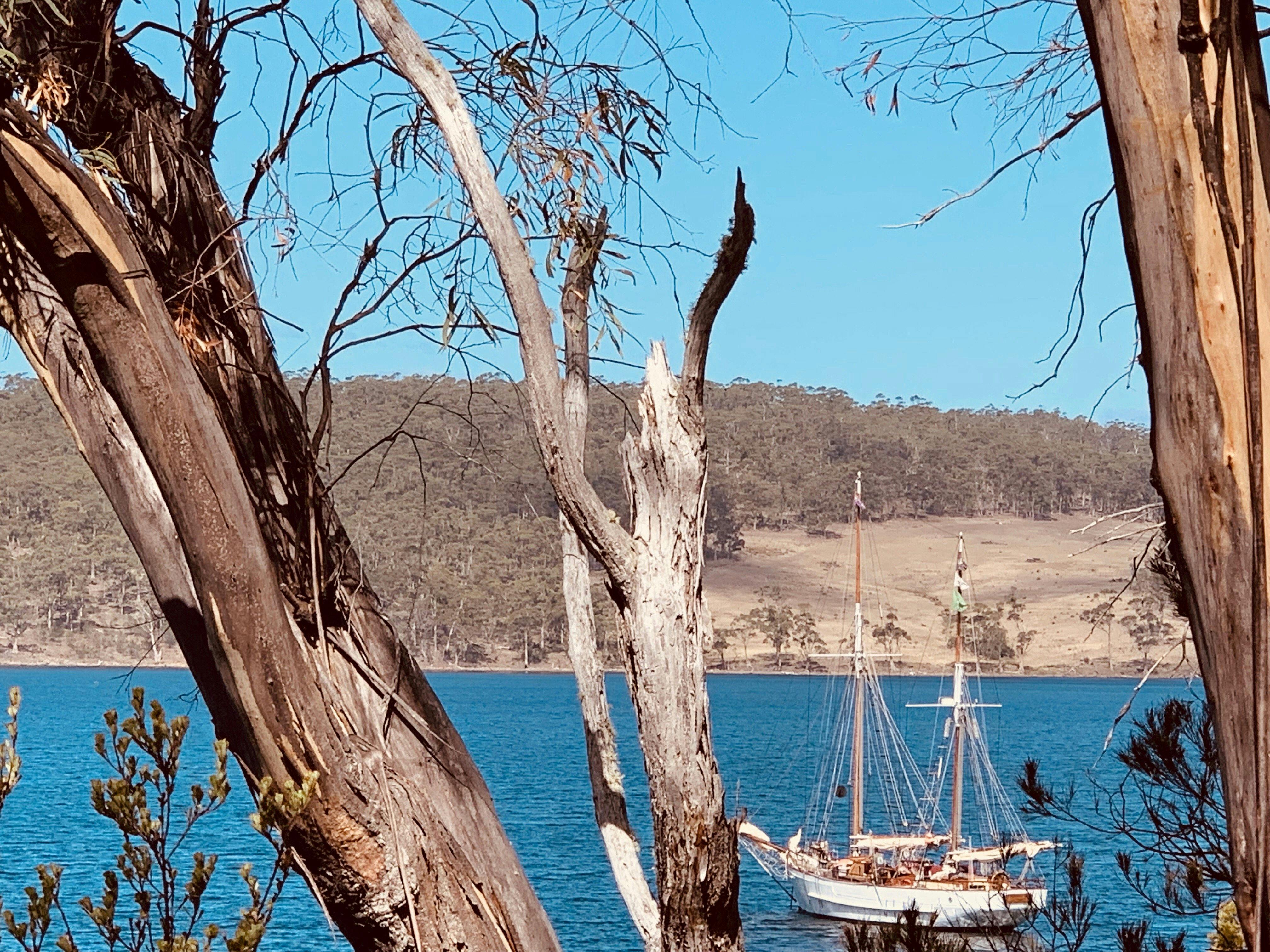 SV Rhona H at anchor