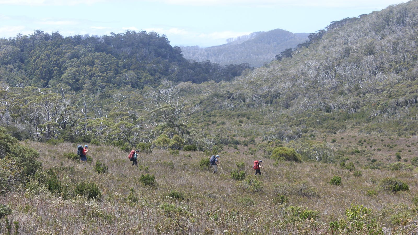 South Coast Track