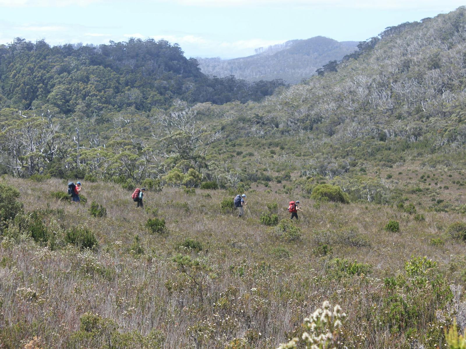 South Coast Track