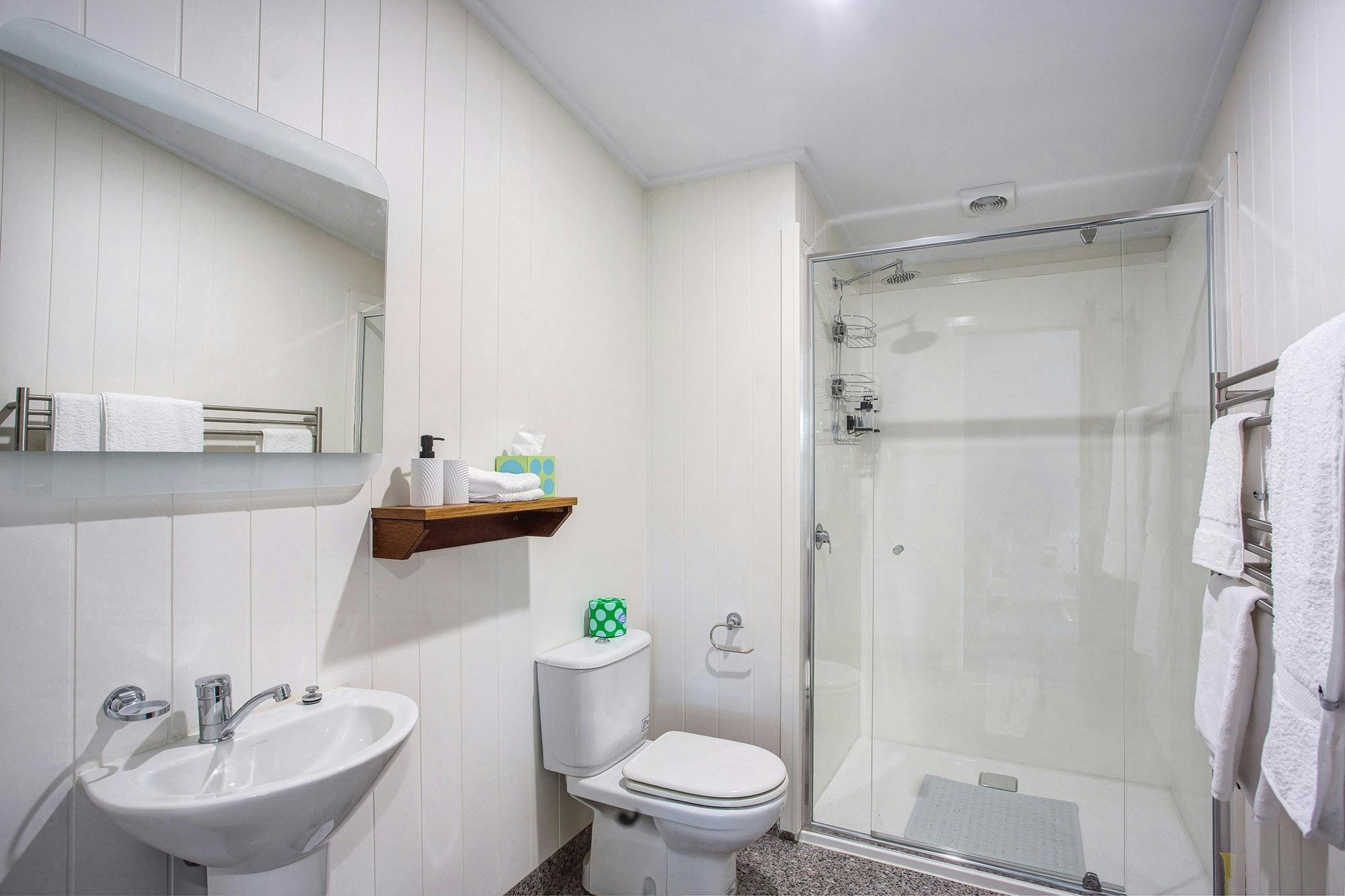 Bathroom with sink, toilet, shelf, shower, heated towel rail