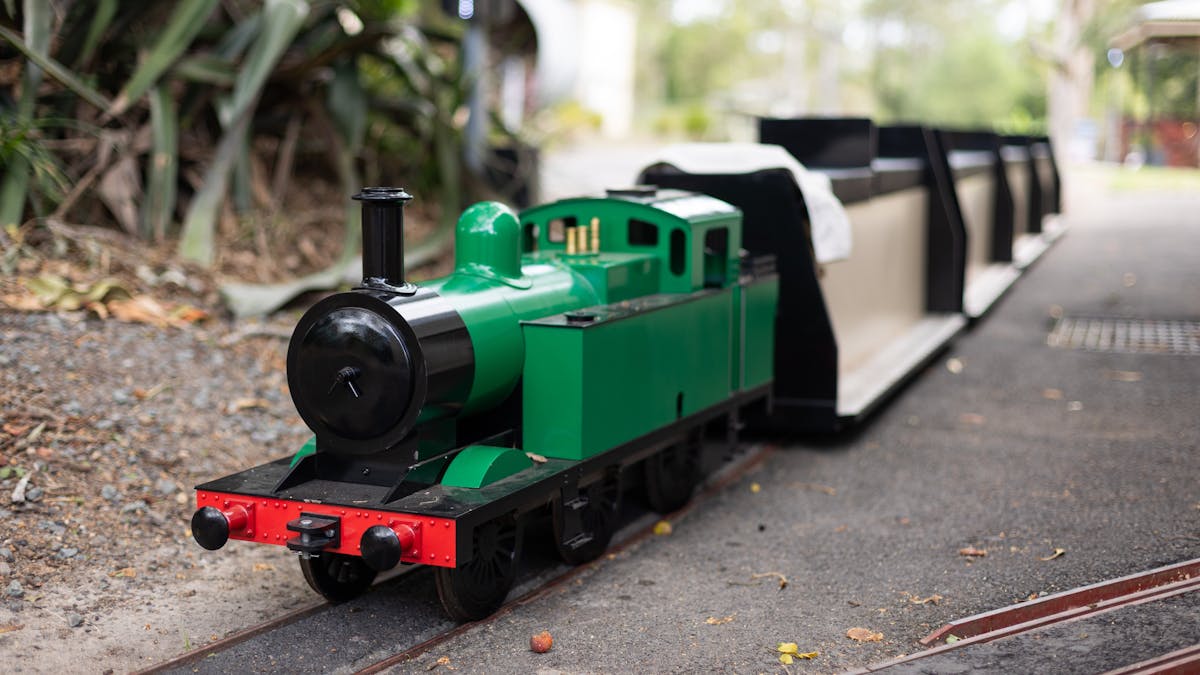 Exciting miniature train ride