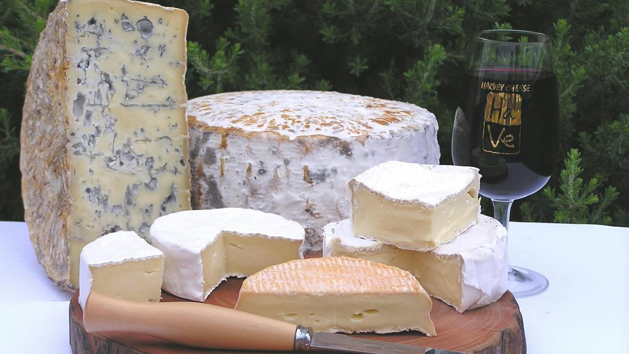 Harvey Cheese