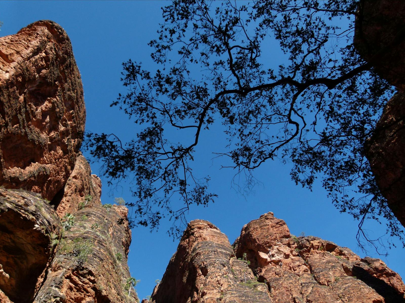 Australian Walking Holidays, Perth, Western Australia