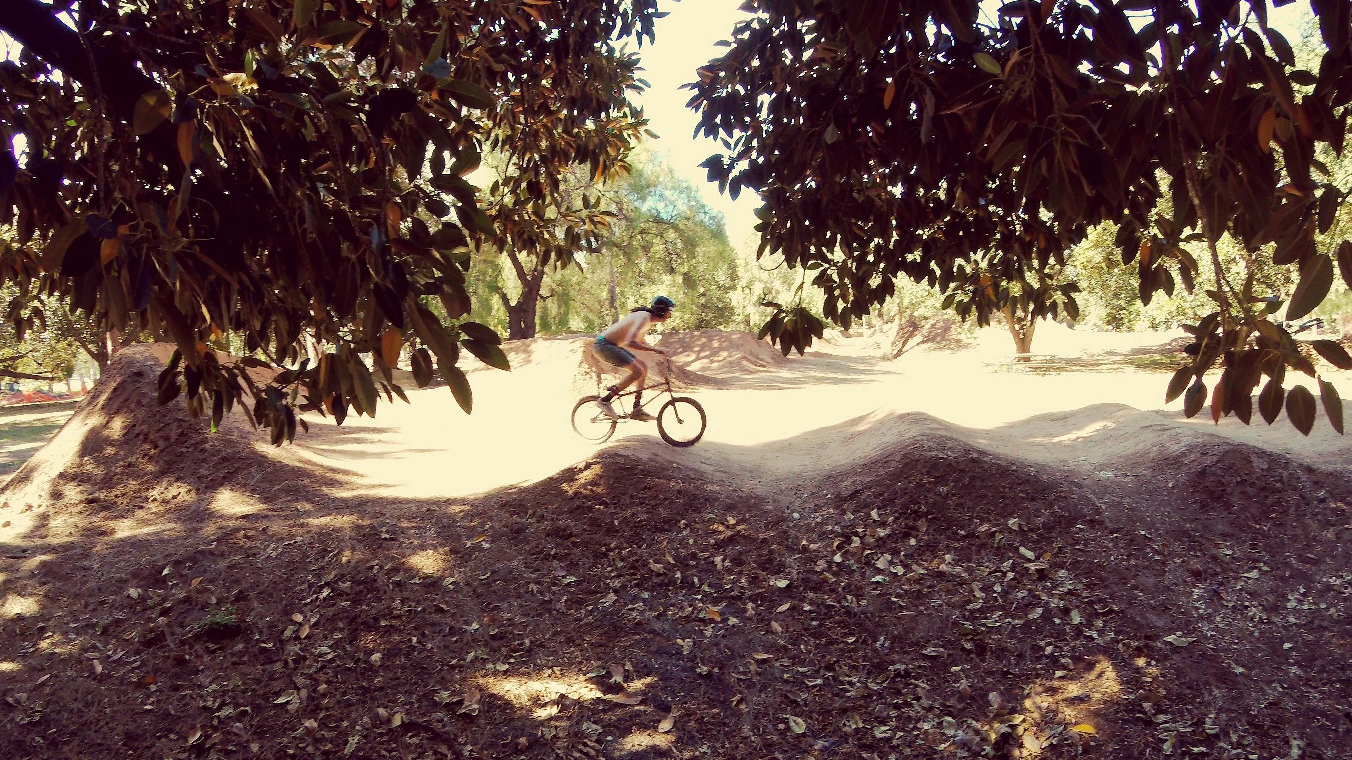 BMX track in Blue Gum Park / Kurangga (Park 20)