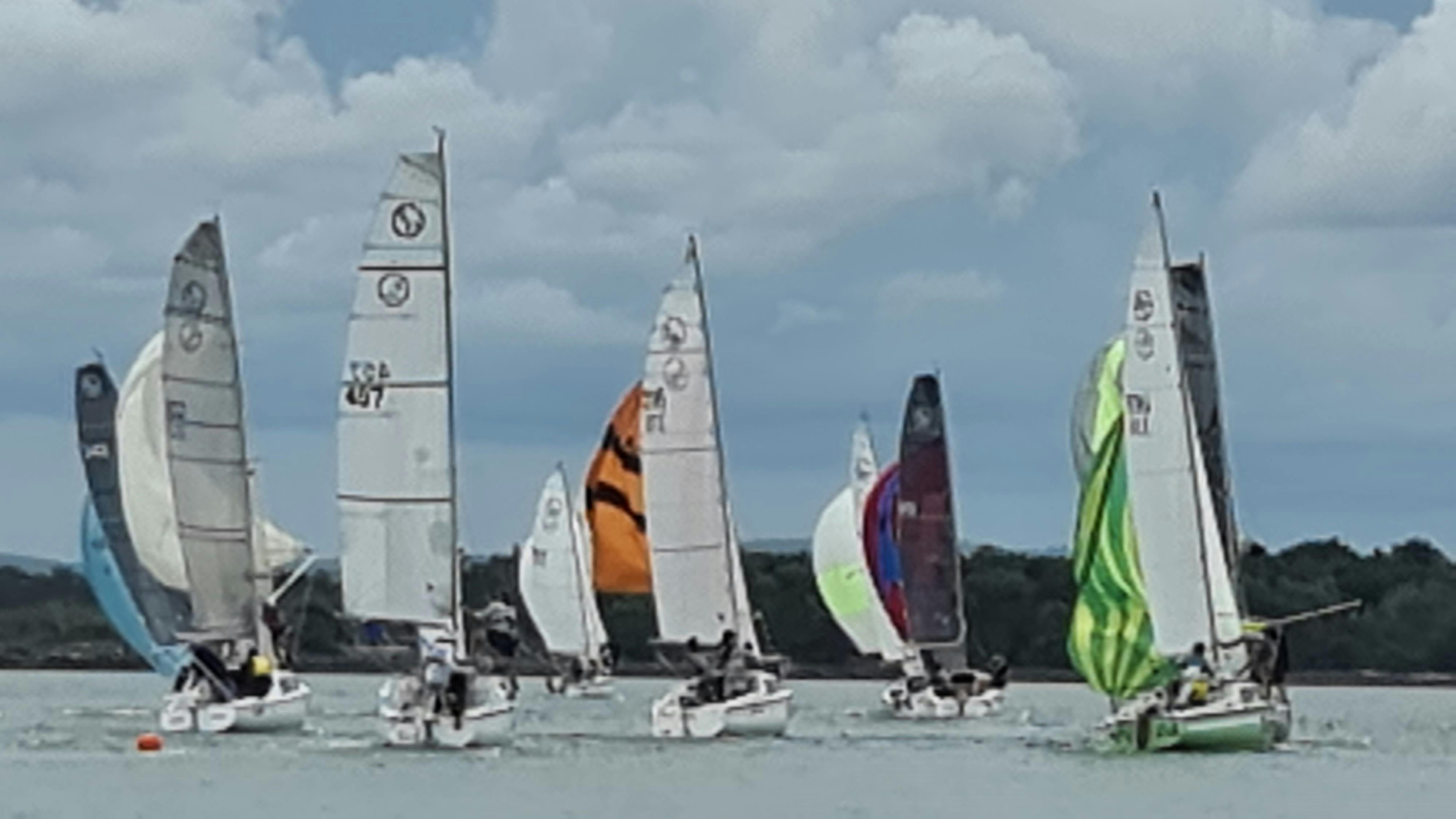 Yamba RL24 Regatta 2024 Sailing boats racing