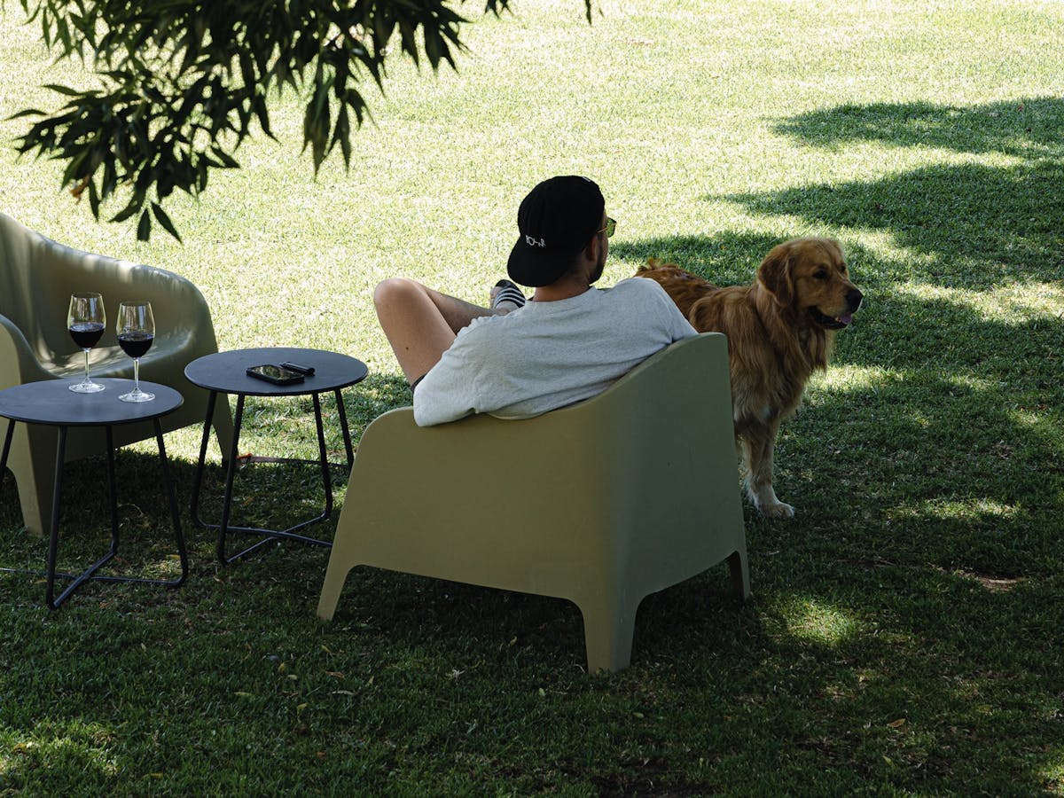 Your furry friends are always welcome!