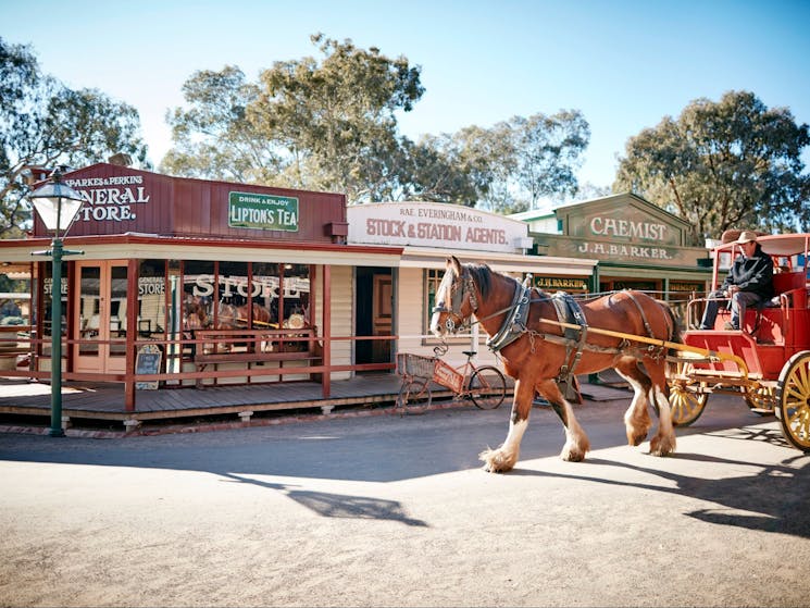 Touring the site with a free horse and carriage ride