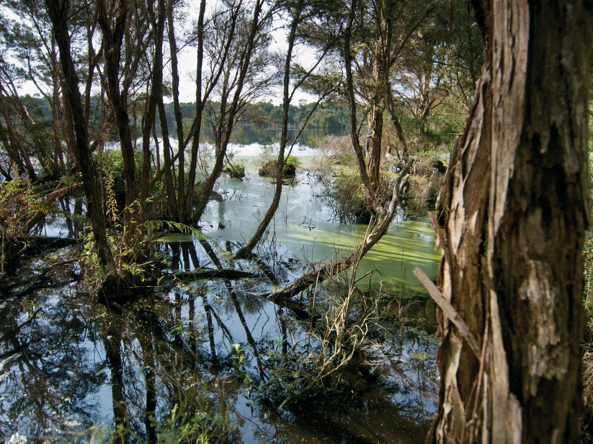 French Island National Park