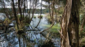 French Island National Park